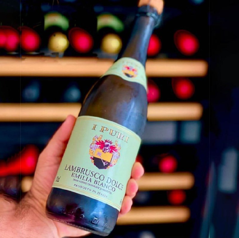 Lambrusco ITALIANO 🇮🇹