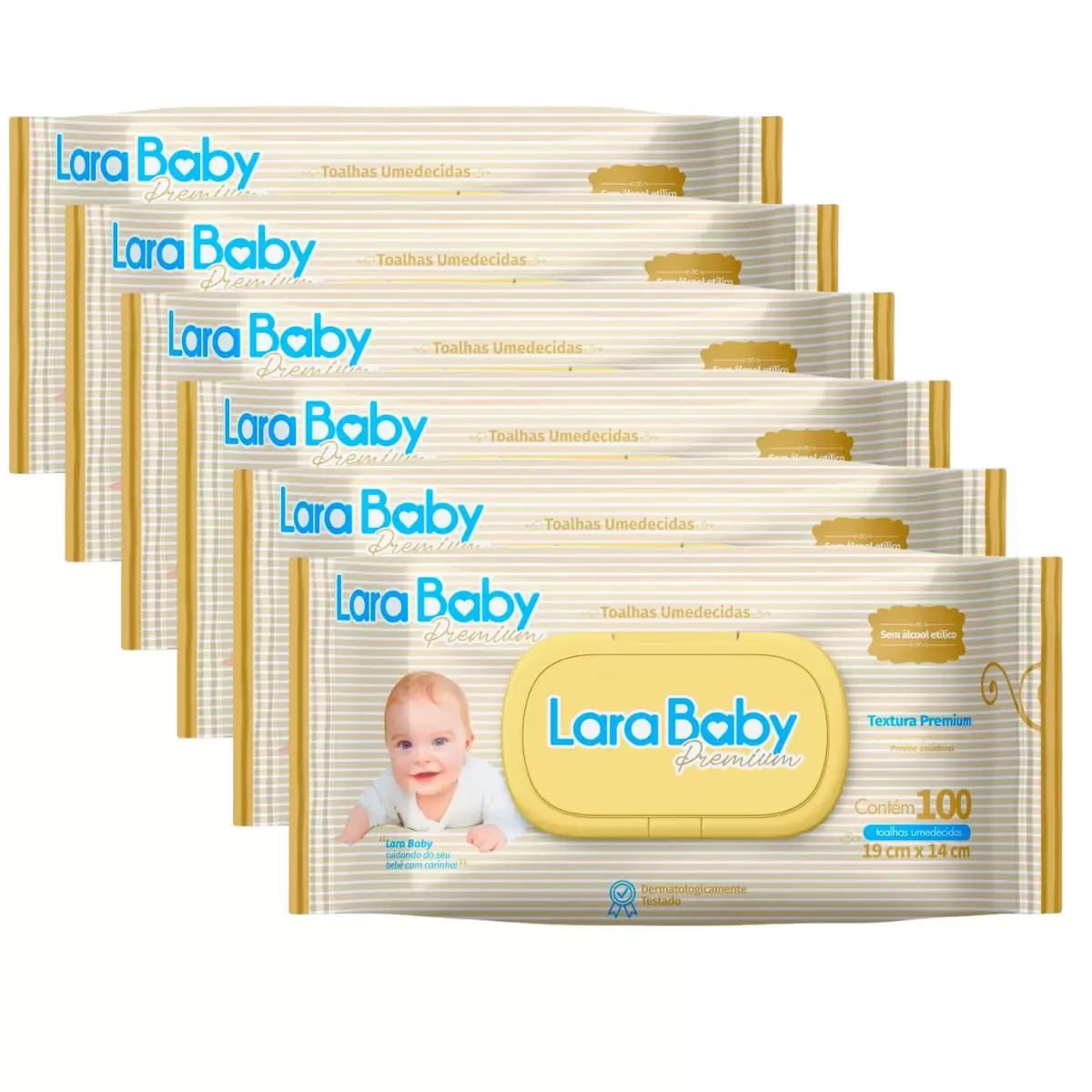 Kit C/06 Lenço Umedecida Lara Baby Personalidade - 100 Toalhas