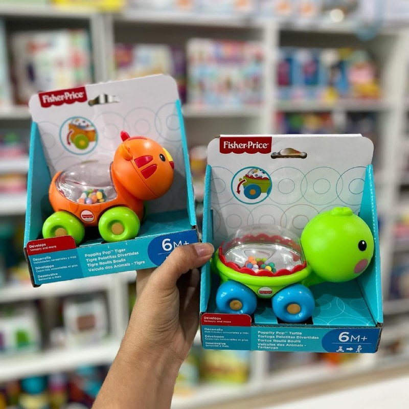 Veículos dos Animais Fisher Price, Mattel, Cores sortidas, 1 unidade (não é possível escolher)