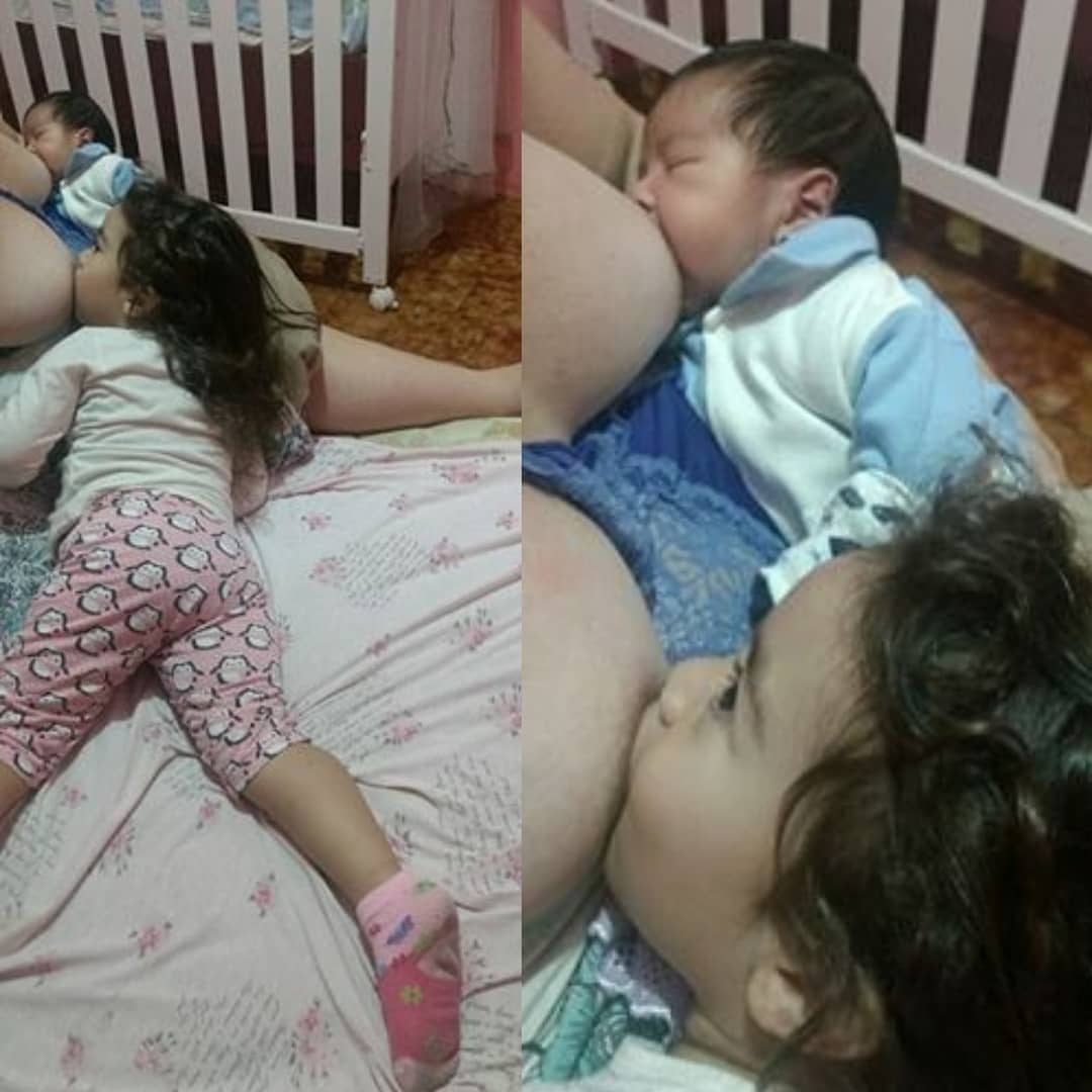 Lactogestação
