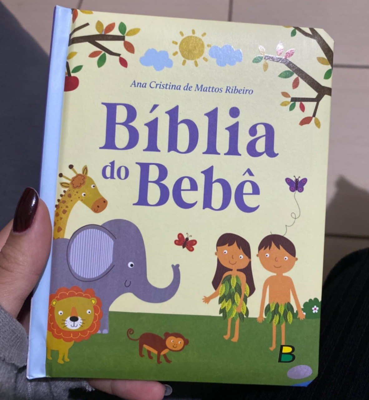 A Bíblia do Bebê Capa Dura - Brasileitura por R$10