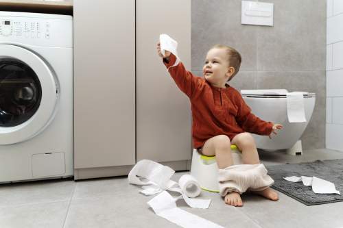 10 Dicas Valiosas para o Desfralde de Fraldas de forma Fácil e Rápida ** Criança aprendendo a usar o peniquinho do desfralde