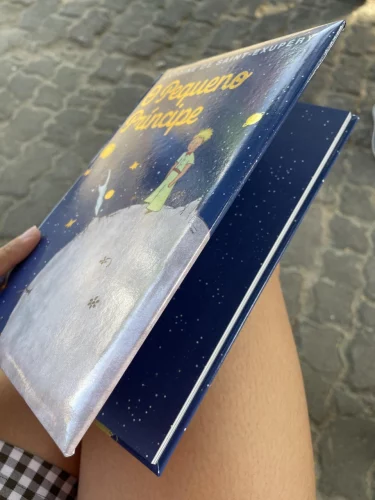 👉🏻  O Pequeno Príncipe Edição de Luxo