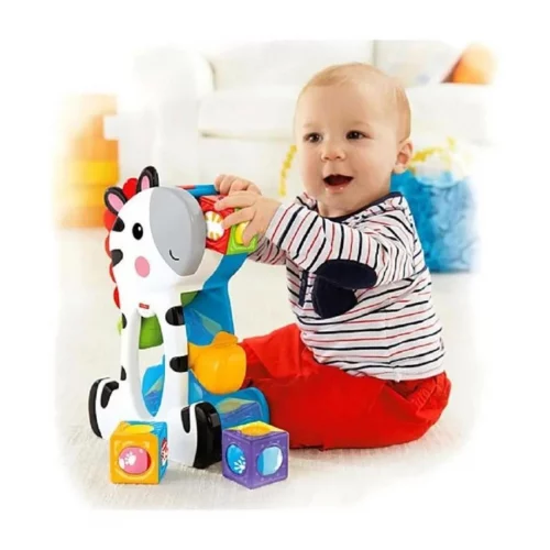 Fisher-Price Zebra Blocos Surpresa