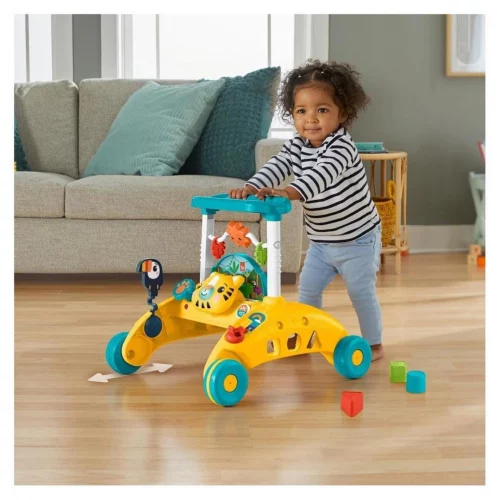 Andador para Bebês de Dois Lados Primeiros Passos Fisher-Price