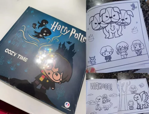 Livro Harry Potter - Cozy time