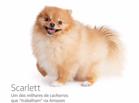 10% OFF em compras a partir de R$ 200,00 com limite de 50,00.