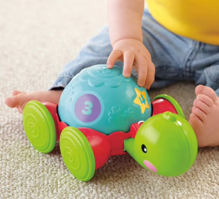 Brinquedo Empurra Tartatuga Fisher-Price