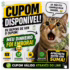 Novo Cupom Amazon! • E