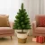 🧡 Árvore De Natal Decoração De Natal Pinheiro Tradicional Verde Cheia Com Cesto Artesanal Kit Enfeite Natal