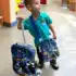 Bebê Conforto Wizz, Cosco – 6 opções de cores