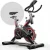 Bicicleta Ergométrica Fitness Para Cardio E Musculação Com Base Cor Preto E Vermelho Epsilon Marca Redfin 8kg Inercia