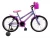 Bicicleta Infantil Feminina Com Rodinha Aro 20 Bella 2023