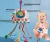 Brinquedo Montessori Sensorial Silicone Puxador Cordão Mão Bebê 4 em 1 Infantil