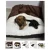 Caminha de Cachorro Saquinho de Dormir Para Gato Pele de Carneiro Cama Pet Canguru Saco De Dormir