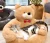 Caminha Pet Premium Cães e Gatos – Tamanho Pequeno Porte
