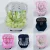 Capa de Bebê Conforto Acolchoada + Protetores de Cinto Várias Estampas Menino/Menina