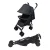 Carrinho De Passeio Para Bebê Park Voyage Preto
