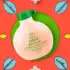 Refil Shampoo Cabelos Cacheados Tóin Óin Óin Natura Naturé 250ml