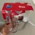 Conjunto 6 Copos 300ml Oca Nadir