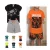 Conjunto Infantil Menino Brato Bermuda e Bamiseta Premium Tam: 04 ao 14