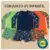 Conjunto Infantil Menino Camisa UV Manga Longa  + Sunga Boxer para Praia/Piscina