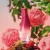 Desodorante Colônia Luna Divina 75 ml