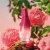 Desodorante Colônia Luna Divina 75 ml