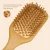 Escova De Cabelo De Bambu Natureza Antiestática De Madeira Couro Cabeludo Massagem Pente Almofada De Ar Ferramentas De E