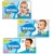 Fralda Babysec Ultrasec Galinha Pintadinha