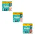 Fralda Babysec UltraSec Galinha Pintadinha
