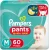 Fralda Pampers Pants Ajuste Total M 60 Unidades