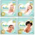 Fralda Pampers Pants Ajuste Total