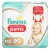 Fralda Pampers Premium Care Pants