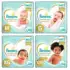 Fralda Pampers Pants Premium Care