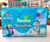 Fralda Para Água Pampers Splashers P-M 12 unidades