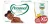 Fralda Personal Baby Premium Protection XG 50 Unidades