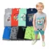 Fralda Pampers Pants Premium Care