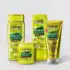 Kit Xô Frizz Completo Forever Liss