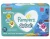 Lenços Umedecidos Pampers Splashers Baby Shark 192 Unidades