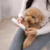 Lixador Elétrico De Unhas Para Pets 2 Velocidades Silencioso