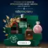 Fralda Pampers Supersequinha