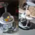 🔥 DESCONTO EM PRODUTOS PARA PETS ‼️🐱🐶