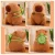 Pelúcia Capivara Com Mochila 25cm