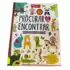 Kit 5 Conjuntos Infantil Shorts Moletom (1 ao 8)