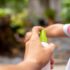 Qual é a diferença entre o choro de fome, sono e desconforto do seu bebê?