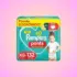 Livro de Colorir Bob 50 Folhas Coloring Book Capa Dura