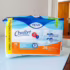 Fralda Geriatrica Tena Confort Eg 18 Unidades, Tena