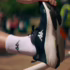 Fralda Pampers Supersequinha G 80 Unidades