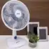 Fralda Luxo Estampa PC com 5 Unidades, Cremer